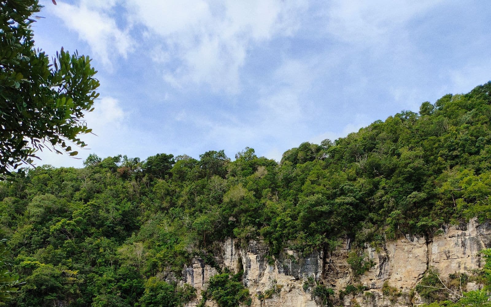 Cenote de aguas turquesas rodeado de vegetación, imagen de referencia